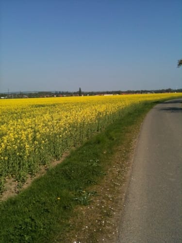 Wasserleben - Osterwieck - Langeln