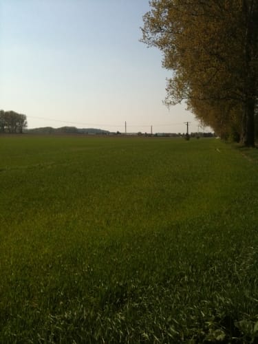 Wasserleben - Osterwieck - Langeln