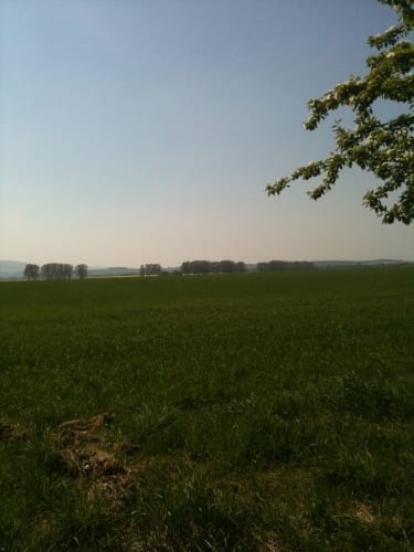Wasserleben - Osterwieck - Langeln