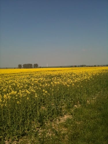 Wasserleben - Osterwieck - Langeln