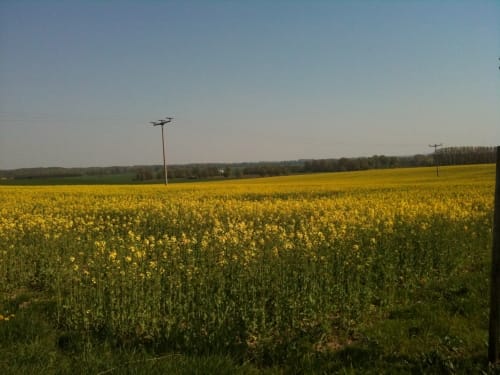 Wasserleben - Osterwieck - Langeln