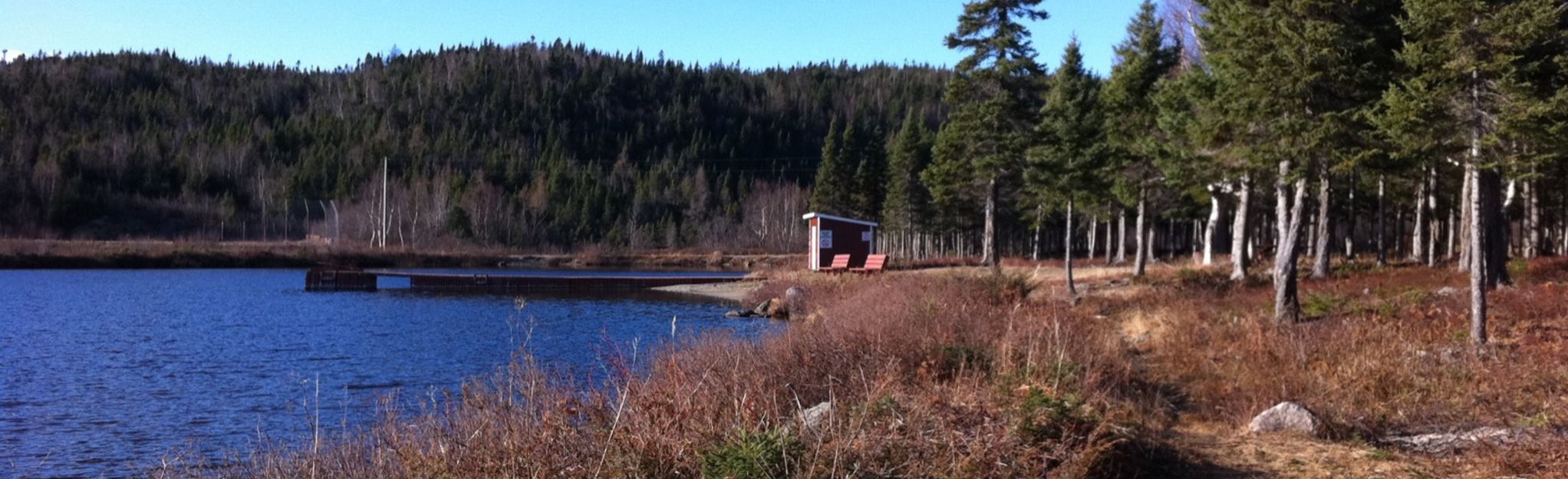 patricks cove newfoundland 10 day weather