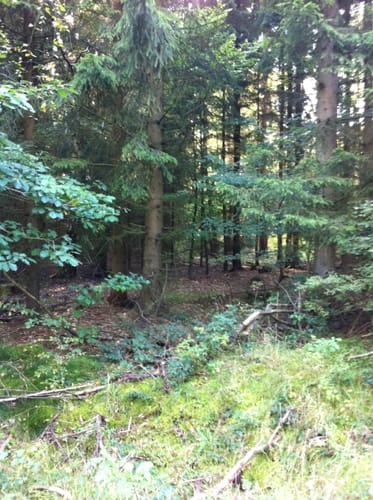 Runde bei Winterbach