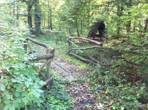 Kreershäuschen - Ellerspring Runde
