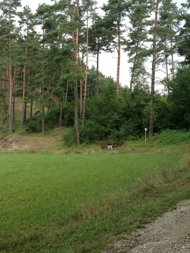 Eichenstruth nach Höfen