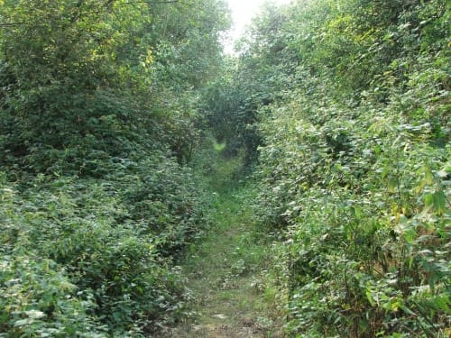 Alsdorf - Mariadorf Runde