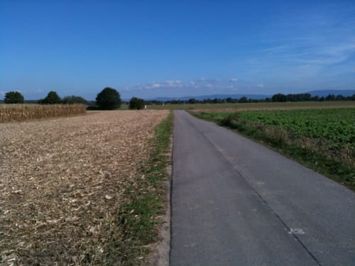 Von Hockenheim zum Herrenteich