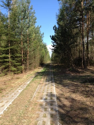 Fahrradtour im Lappwald