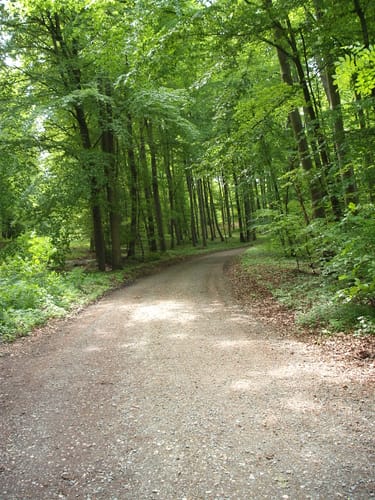 Diekholzen - Hildesheimer Wald