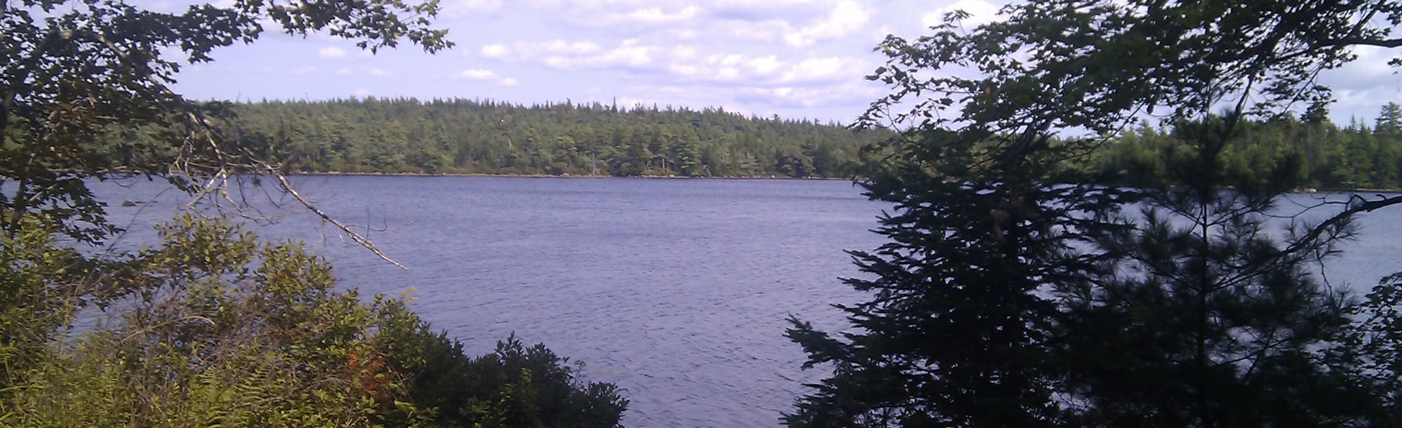 Maple Lake, Nova Scotia, Canada 102 Reviews, Map AllTrails