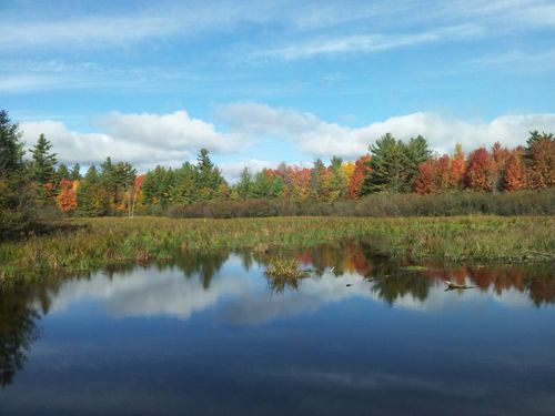 2023 Best 10 Trails and Hikes in Ottawa | AllTrails