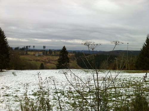 Rothaarsteig Etappe 5: Rhein-Weser-Turm - Ginsberger Heide
