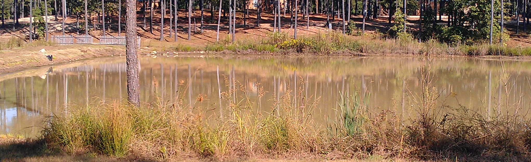 Carolina Adventure World West OHV Loop 6 Reviews, Map South Carolina