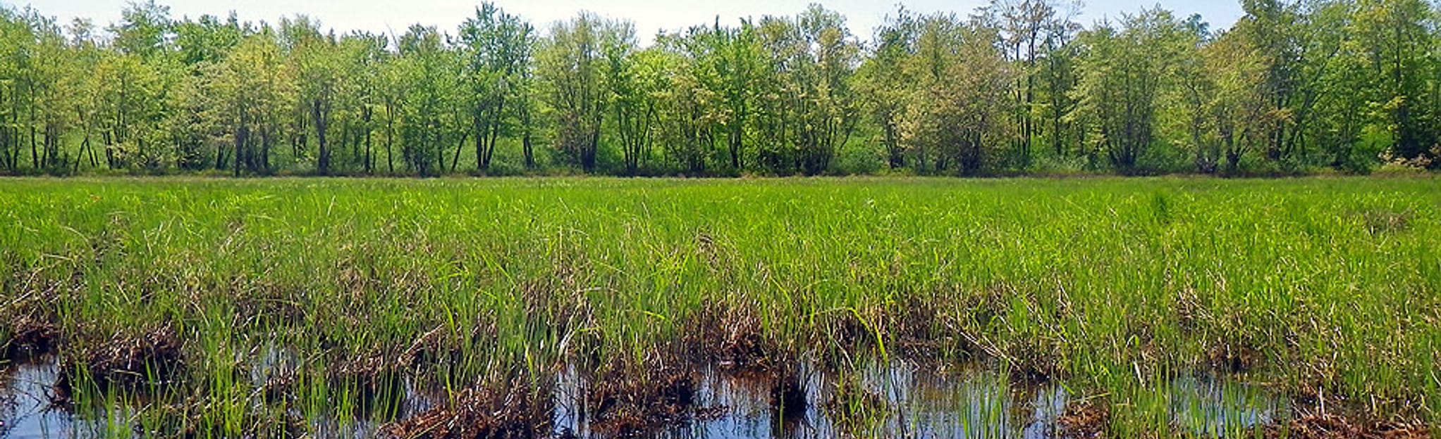 Maquapit Lake Paddle, New Brunswick, Canada 3 Reviews, Map AllTrails