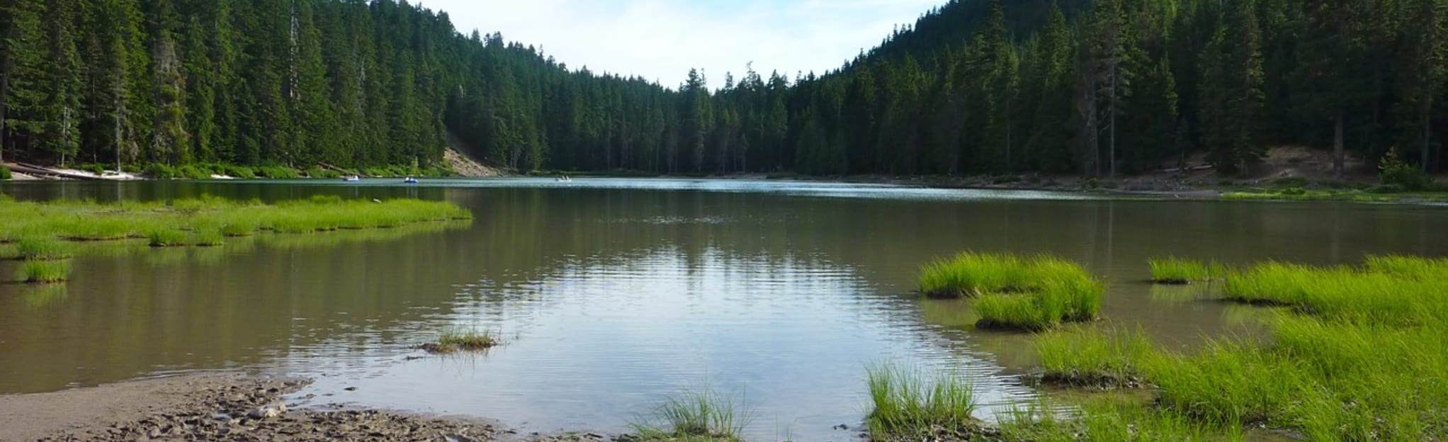 Frog Lake Trail 186 Reviews, Map Oregon AllTrails