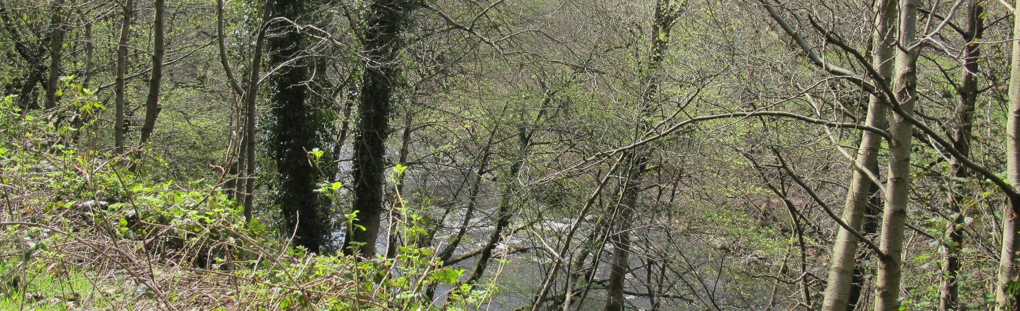 Taff Trail from Pontypridd to Merthyr Tydfil, Rhondda Cynon Taf, Wales