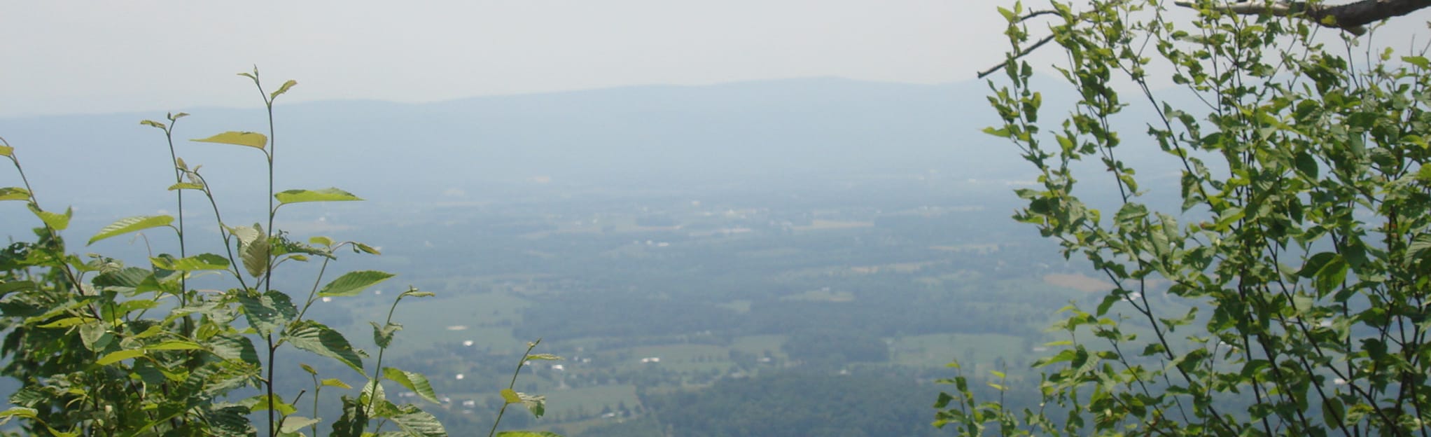 Stony Creek Trail, Virginia 15 Reviews, Map AllTrails