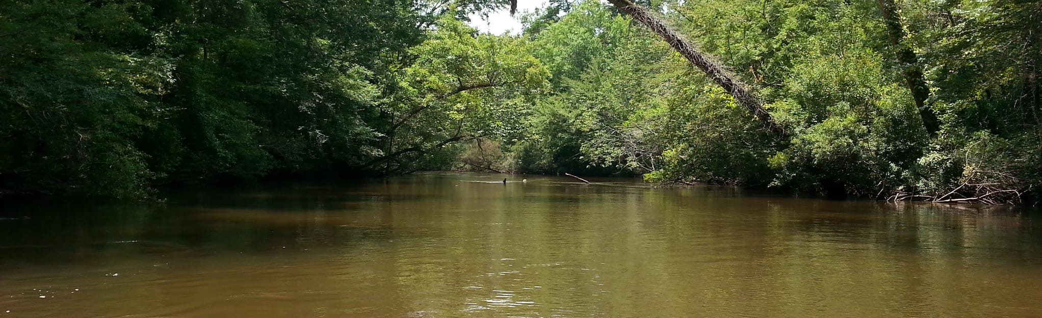 Econfina Creek Kayak Route FL 20 to CR 388, Florida 20 Reviews, Map