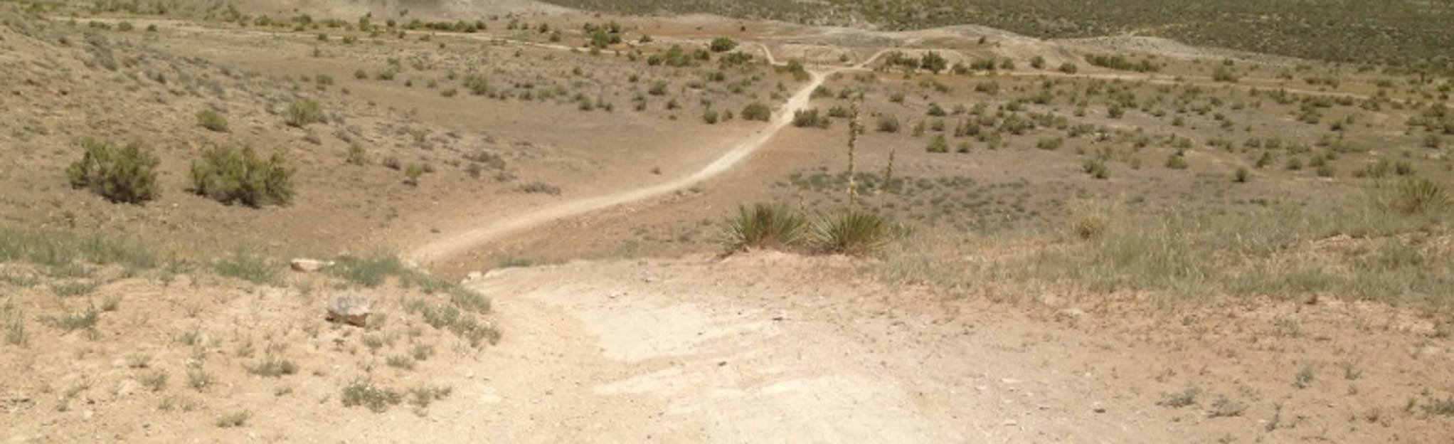 Vegetarian, Edge, and Chutes and Ladders Loop Trail 15 Reviews, Map