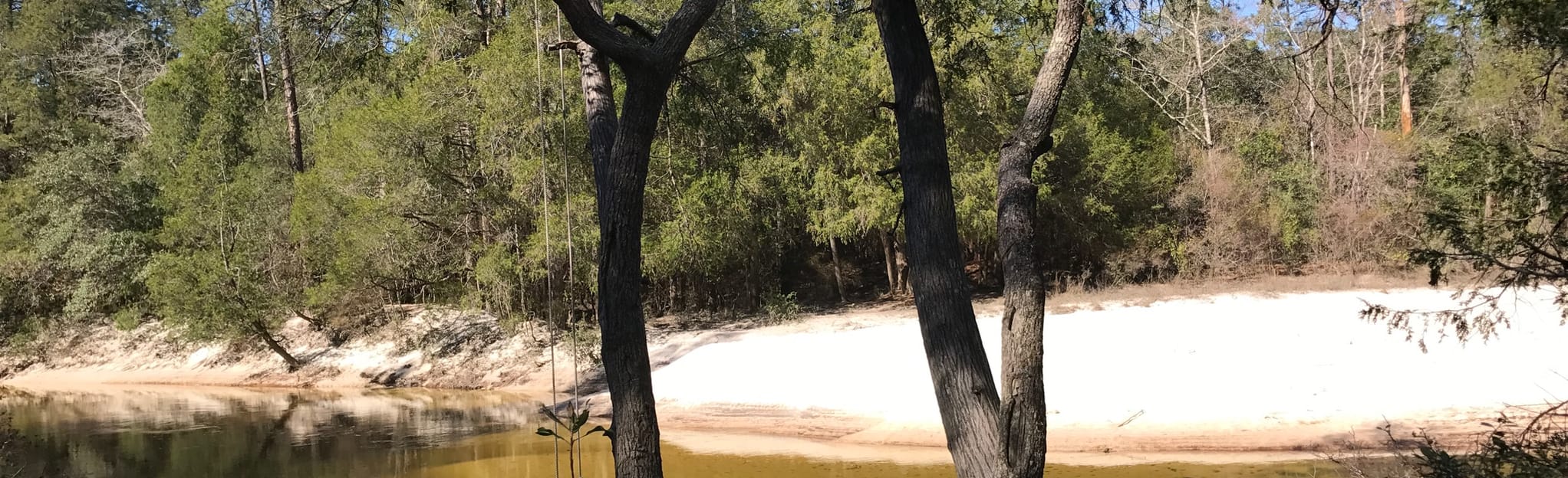 Juniper Creek Trail via South Trailhead - EyJidWNrZXQiOiJhc3NldHMuYWxsdHJhaWxzLmNvbSIsImtleSI6InVwbG9hZHMvcGhvdG8vaW1hZ2UvMTc3ODMyNTYvMTc0YmFjOTFmMjVjY2E5ZTU0MGE4MzA5OGFhYzMwMWIuanBnIiwiZWRpdHMiOnsidG9Gb3JtYXQiOiJqcGVnIiwicmVzaXplIjp7IndpZHRoIjoyMDQ0LCJoZWlnaHQiOjYyNCwiZml0IjoiY292ZXIifSwicm90YXRlIjpudWxsLCJqcGVnIjp7InRyZWxsaXNRdWFudGlzYXRpb24iOnRydWUsIm92ZXJzaG9vdERlcmluZ2luZyI6dHJ1ZSwib3B0aW1pc2VTY2FucyI6dHJ1ZSwicXVhbnRpc2F0aW9uVGFibGUiOjN9fX0=