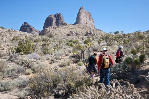 Mojave hiking on sale