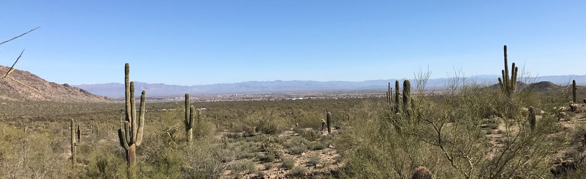Stargazer Trail 1501 Reviews, Map Arizona AllTrails