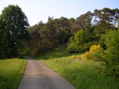 Wald und Wiese bei Laufdorf