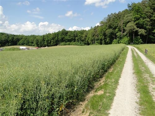Gailingen am Hochrhein - Dörflingen