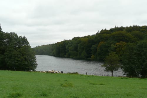 Stocksee und Nehmtener Forst