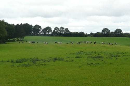Radweg Land-Tour