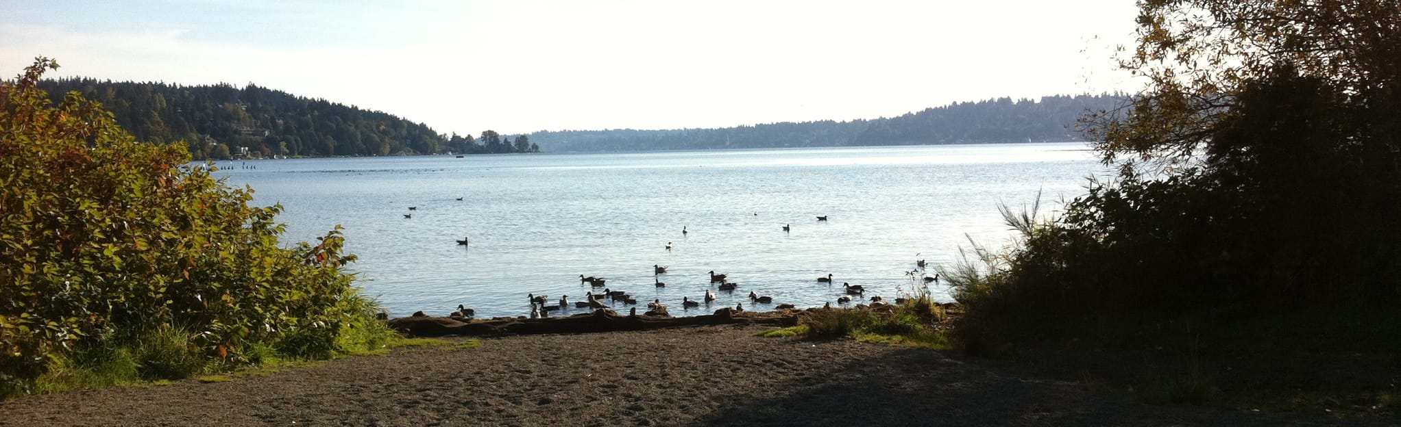 Burke Gilman Trail West Lake Washington - EyJidWNrZXQiOiJhc3NldHMuYWxsdHJhaWxzLmNvbSIsImtleSI6InVwbG9hZHMvcGhvdG8vaW1hZ2UvMTc5NDg3NDMvOWJkODdkM2Q5MGZmMGMwNDFhNmU1ZDI5ZjEzNzU4NjguanBnIiwiZWRpdHMiOnsidG9Gb3JtYXQiOiJqcGVnIiwicmVzaXplIjp7IndpZHRoIjoyMDQ0LCJoZWlnaHQiOjYyNCwiZml0IjoiY292ZXIifSwicm90YXRlIjpudWxsLCJqcGVnIjp7InRyZWxsaXNRdWFudGlzYXRpb24iOnRydWUsIm92ZXJzaG9vdERlcmluZ2luZyI6dHJ1ZSwib3B0aW1pc2VTY2FucyI6dHJ1ZSwicXVhbnRpc2F0aW9uVGFibGUiOjN9fX0=