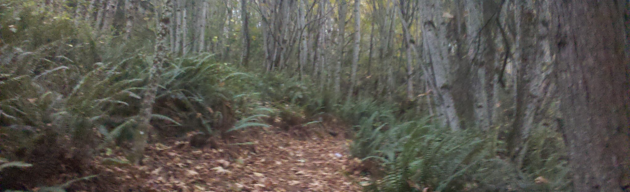 Lakemont Highlands Trail Map, Guide Washington AllTrails