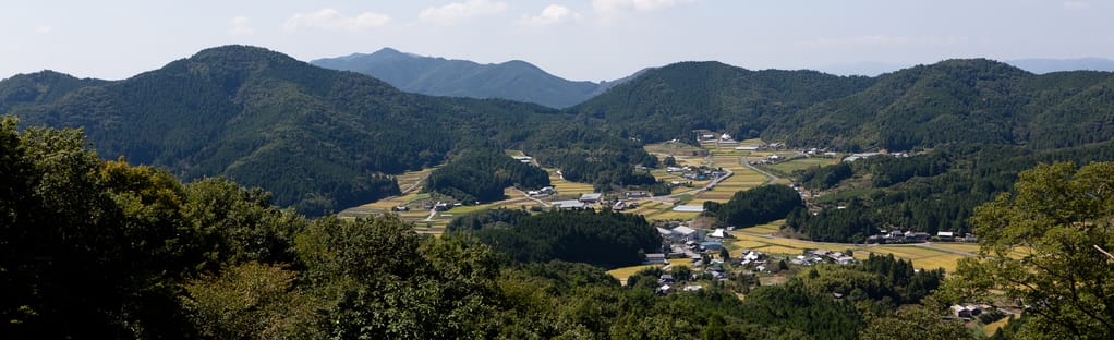 Koyasan Choishi-Michi Road [CLOSED]: 49 Reviews, Map - Wakayama, Japan |  AllTrails