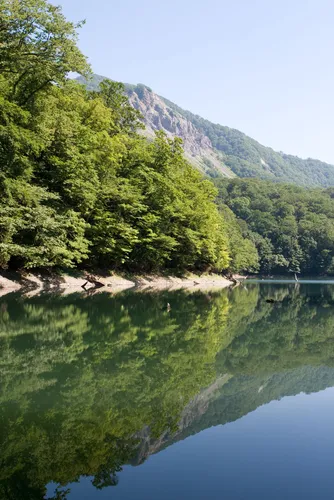 青湖 青池（十二湖） - hikes and trails to get you there | AllTrails