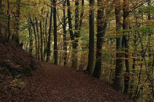 Neustadt, Sommerberg und Kaltenbrunnertal