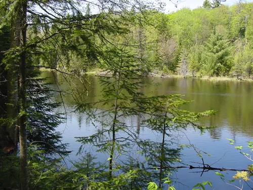 10 Best Trails And Hikes In Sault Ste Marie Alltrails 6106