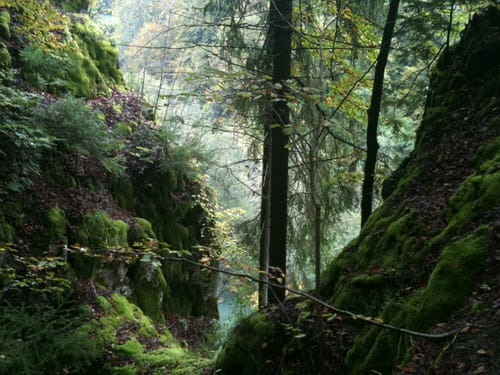 Höhlenwanderung: Romantischer Wanderweg Muggendorf
