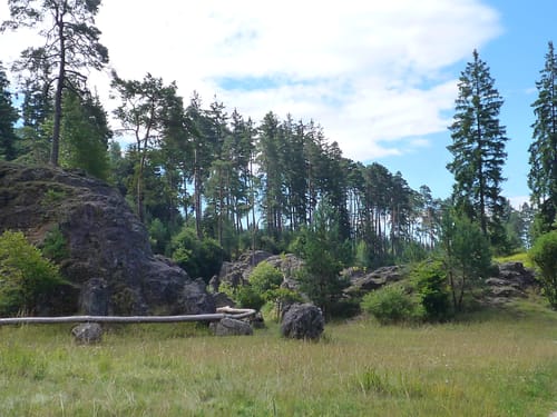Wanderblume Nr.4 - Im Felsenmeer