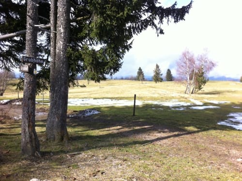 Moosenmättle - Grubhof