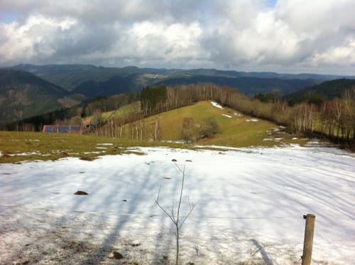Moosenmättle - Grubhof