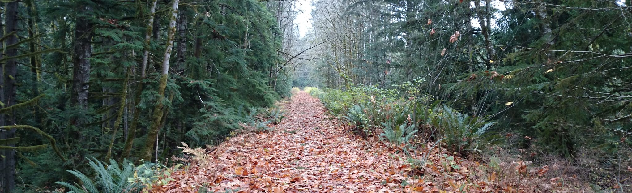 Cowichan River Footpath and Cowichan Valley Trail from Glenora Trails
