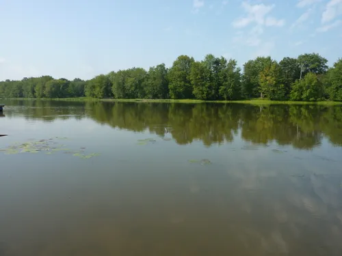 Best Hikes and Trails in Carillon Island Migratory Bird Sanctuary ...