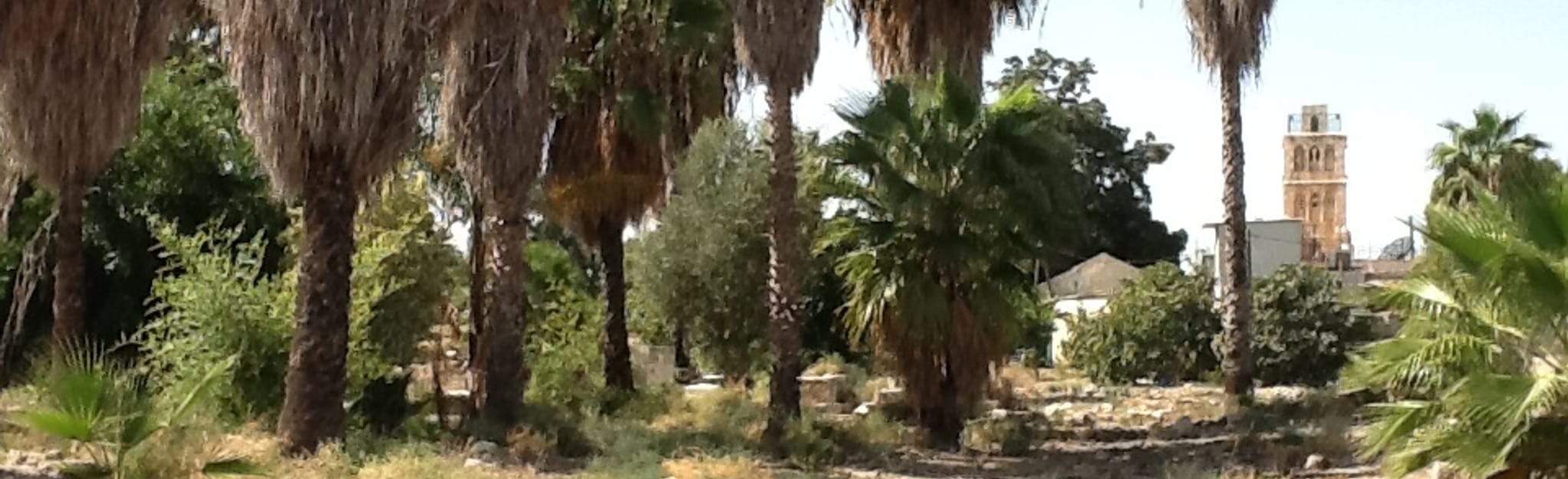 Ramla and Lod Cycle Loop Map, Guide Central District HaMerkaz