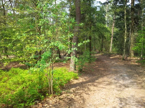 holland bike trails