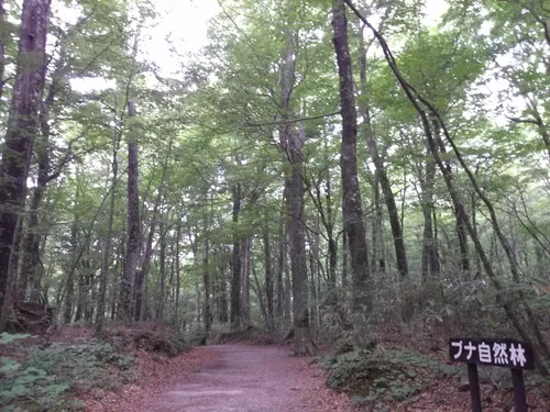 静かな湖 中ノ池（十二湖） () - hikes and trails to get you there