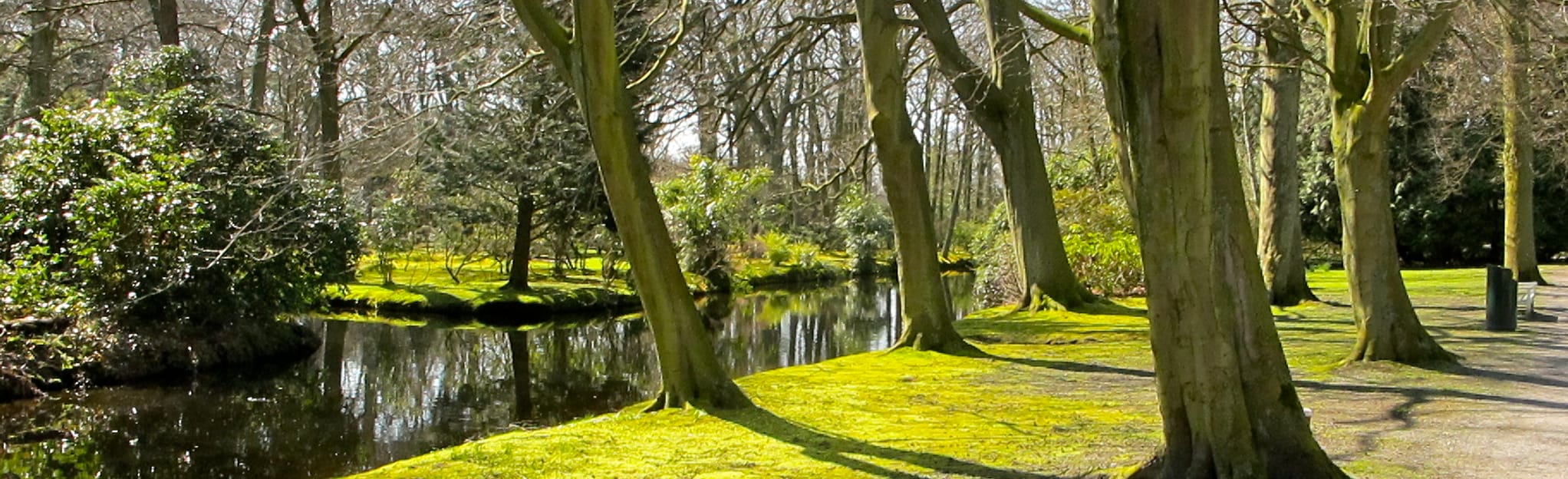 Den Haag Haagse Bos Clingendael Meijendel Scheveningse Bosjes