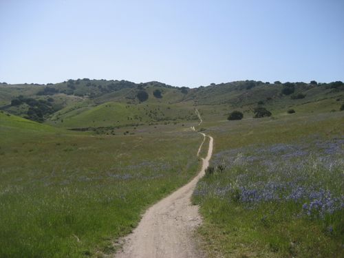 Fort ord mountain biking online