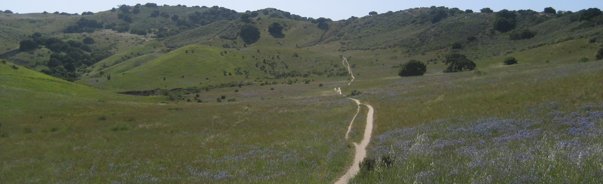 Sea Otter Mountain Bike Loop, California - 29 Reviews, Map | AllTrails