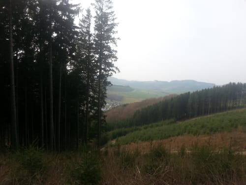 Rundweg um Kirchrarbach (K5)