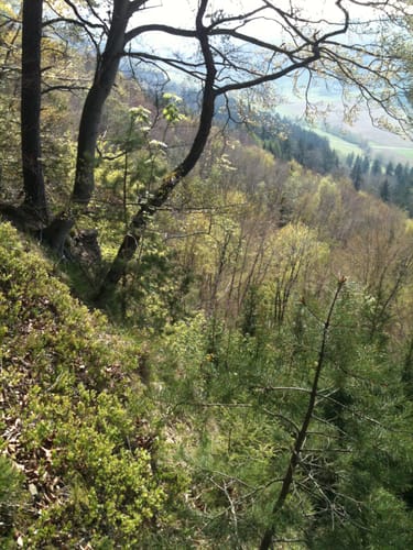MTB-Tour entlang der Europäischen Wasserscheide